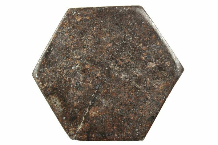 Chondrite Meteorite Cabochon ( g) #238186